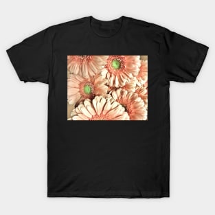 GERBERA T-Shirt